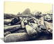 "Olympic National Park Landscape" Modern Landscape Wall Art Canvas, 20"x12"