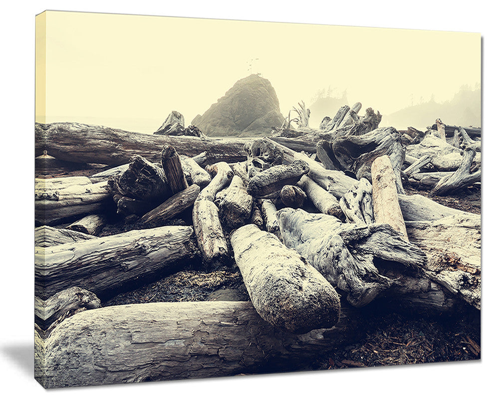 "Olympic National Park Landscape" Modern Landscape Wall Art Canvas, 20"x12"