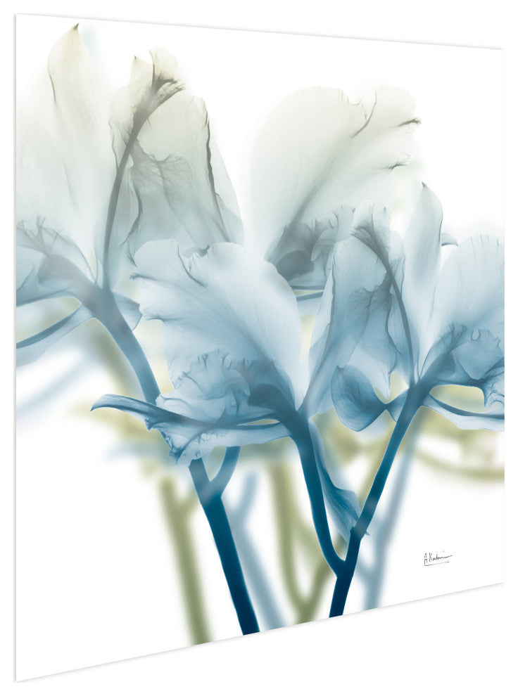 "Unfocused Beauty3"Frameless Free Floating Panel Graphic Wall Art, 24"x24"