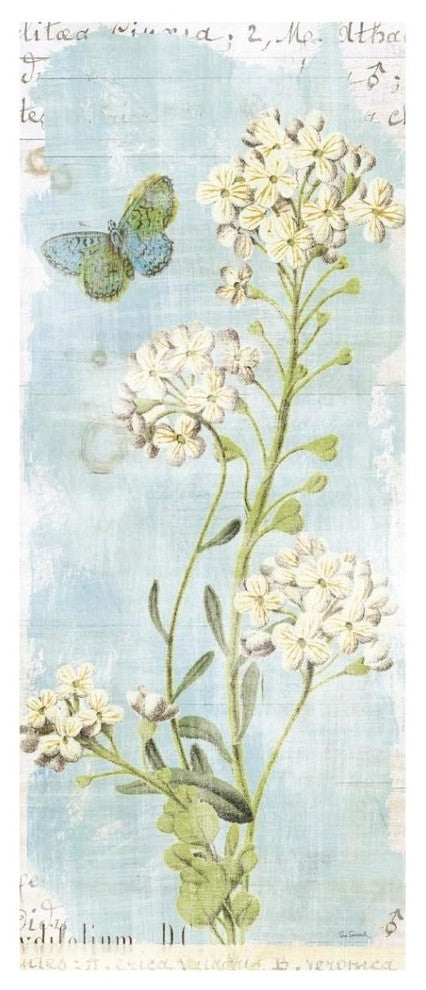"Botany Blue III" Digital Paper Print by Sue Schlabach, 18"x42"