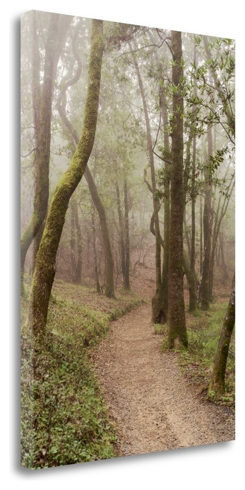 "Oak Tree - 22" By Alan Blaustein, Giclee Print on Gallery Wrap Canvas