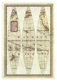 "Globo Terrestre II, 1792" Paper Print by Giovanni Maria Cassini, 30"x42"