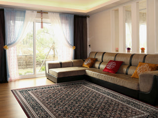 Brilliant Rug, 6'7"x9'10"