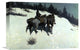 "A Reconnaissance" Stretched Canvas Giclee by Frederic Remington, 16"x11"