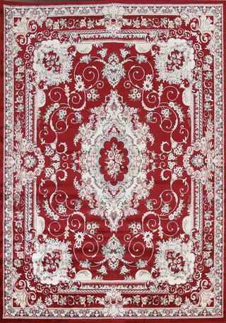 Red Floral Medallion Transitional Turkish Rug Oriental Carpet 10x13