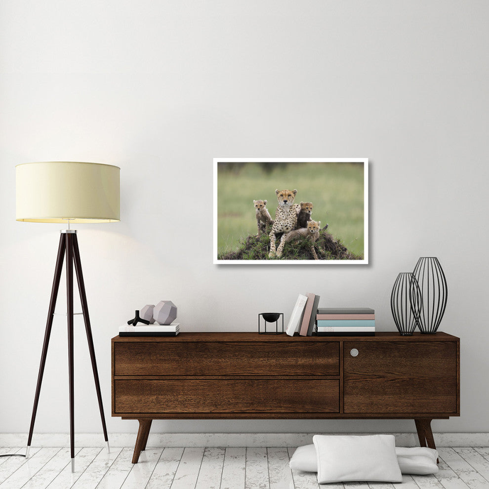 "Cheetah mother and 8-9 week old cubs, Maasai Mara Reserve" Paper Art, 38"x26"