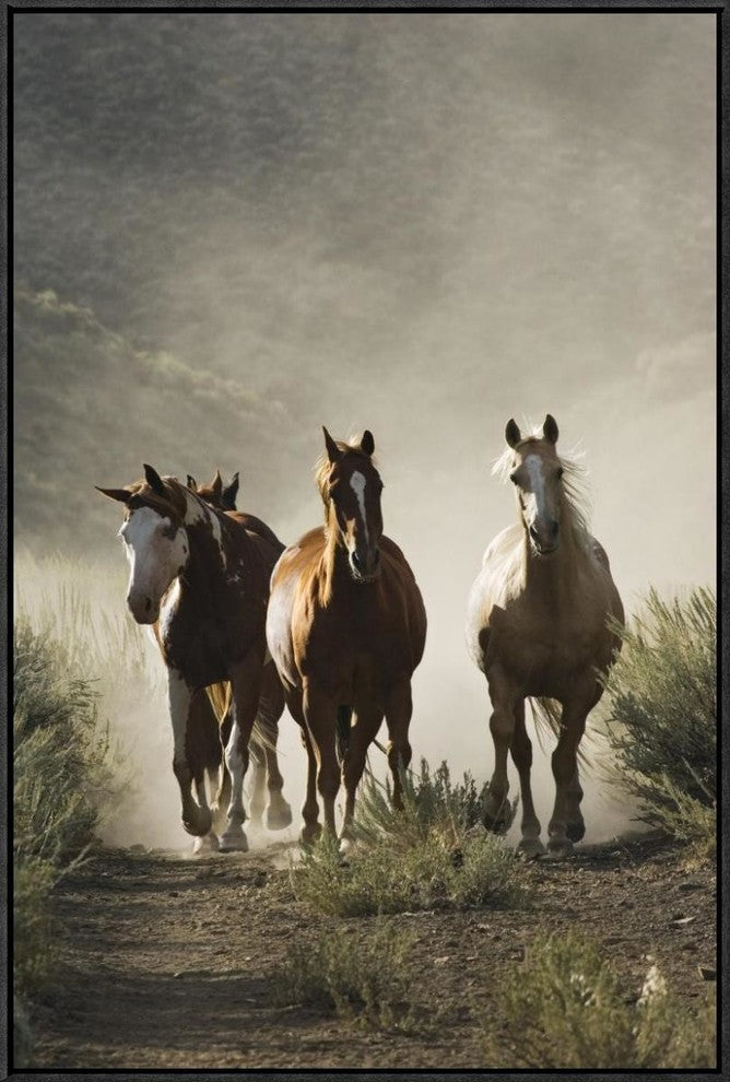 "Horse group of four approaching camera, Oregon"  by Konrad Wothe, 21x31"