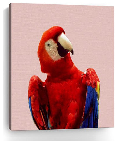 30" Vibrant and Vivid Bird Canvas Wall Art