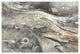 "Minerals III Crop" Digital Paper Print by Albena Hristova, 20"x14"