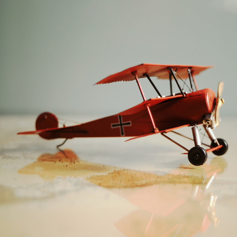 1917 Red Baron Fokker Triplane