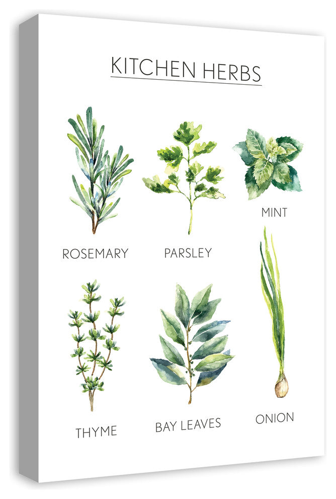 Watercolor Kitchen Herbs Handwritten 16x24 Print on Canvas
