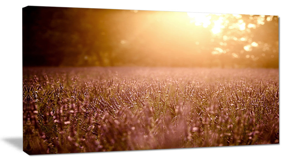 Brown Tinged Lavender Field Sunset, Floral Canvas Art Print, 32"x16"