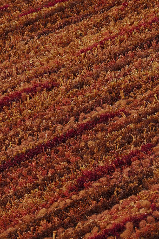 Hand Woven Rust Wool Area Rug