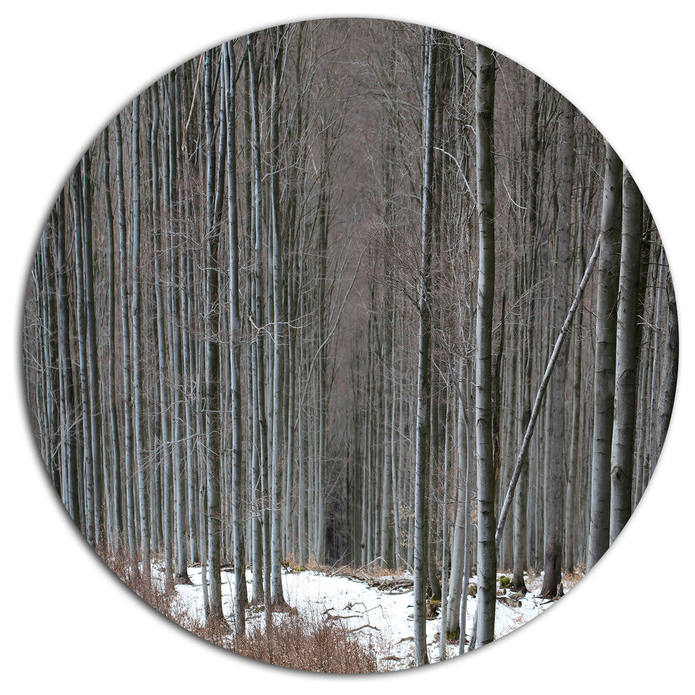 Winter Forest With Thick Trees, Forest Round Metal Wall Art, 36"