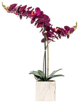 Vickerman 22" Phalaenopsis In Pot, Dark Purple