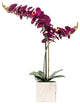 Vickerman 22" Phalaenopsis In Pot, Dark Purple