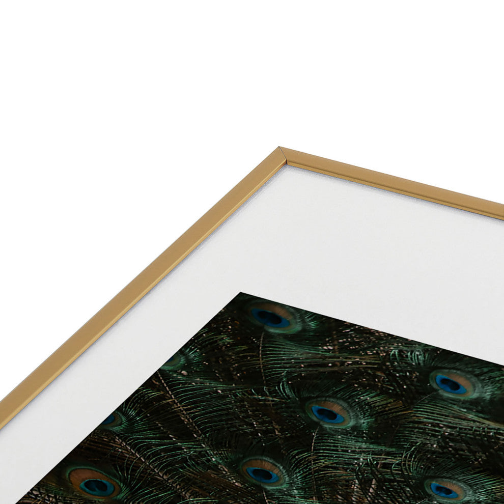 Ingrid Beddoes Peacock and proud IV Metal Framed Art Print