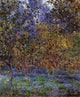 Claude Oscar Monet Under the Lemon Trees, 20"x25" Wall Decal