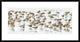 "Bar-Tailed Godwit 19" Framed Digital Print by Kurien Yohannan, 38"x20"