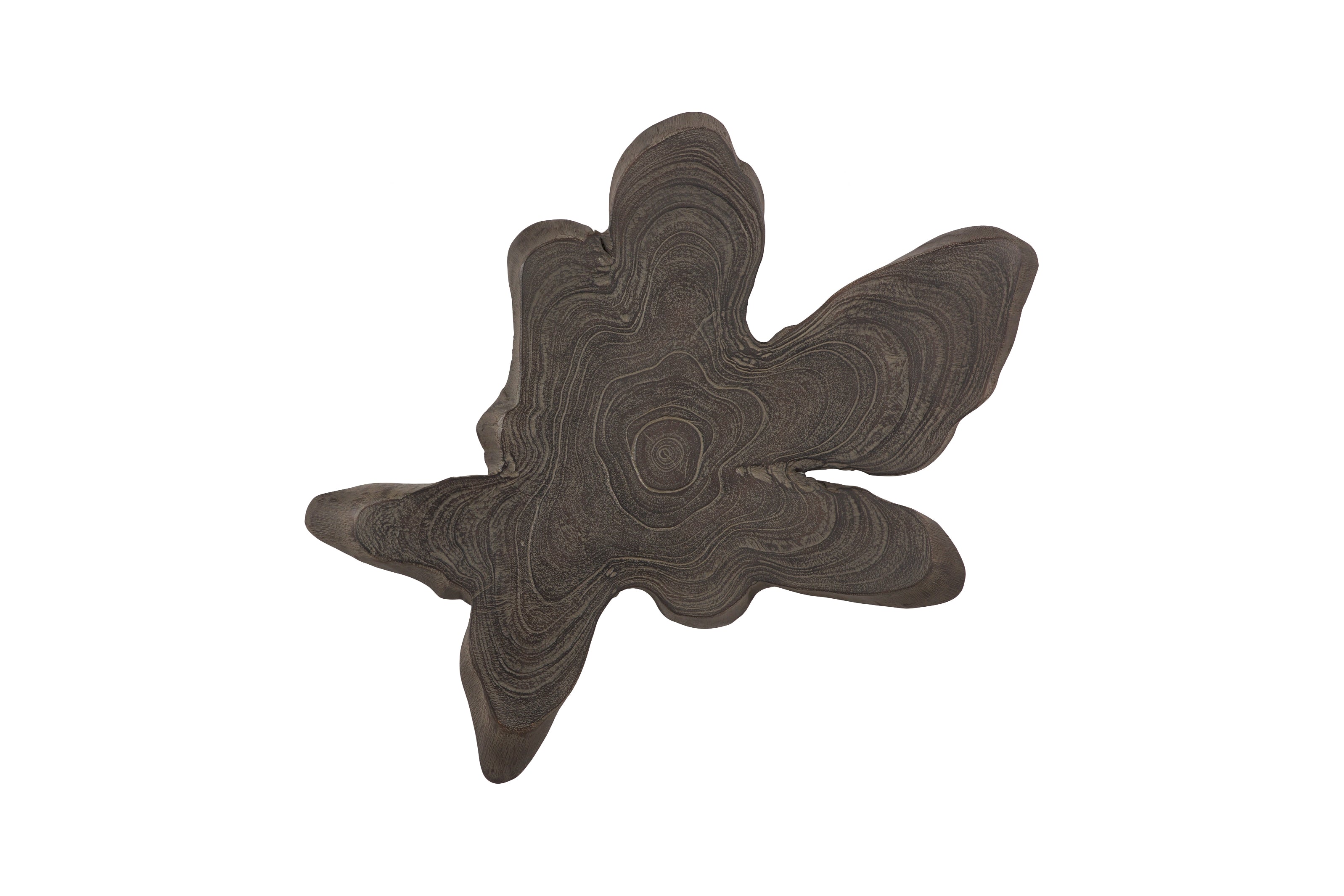 Teak Slice Wall Art, Large, Dark Gray