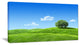 Calm Meadow with Single Tree, Landscape Canvas Art Print, 60"x28"