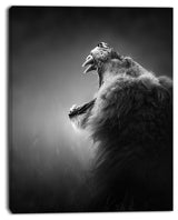 "Lion Displaying Teeth" Animal Canvas Print, 30"x40"