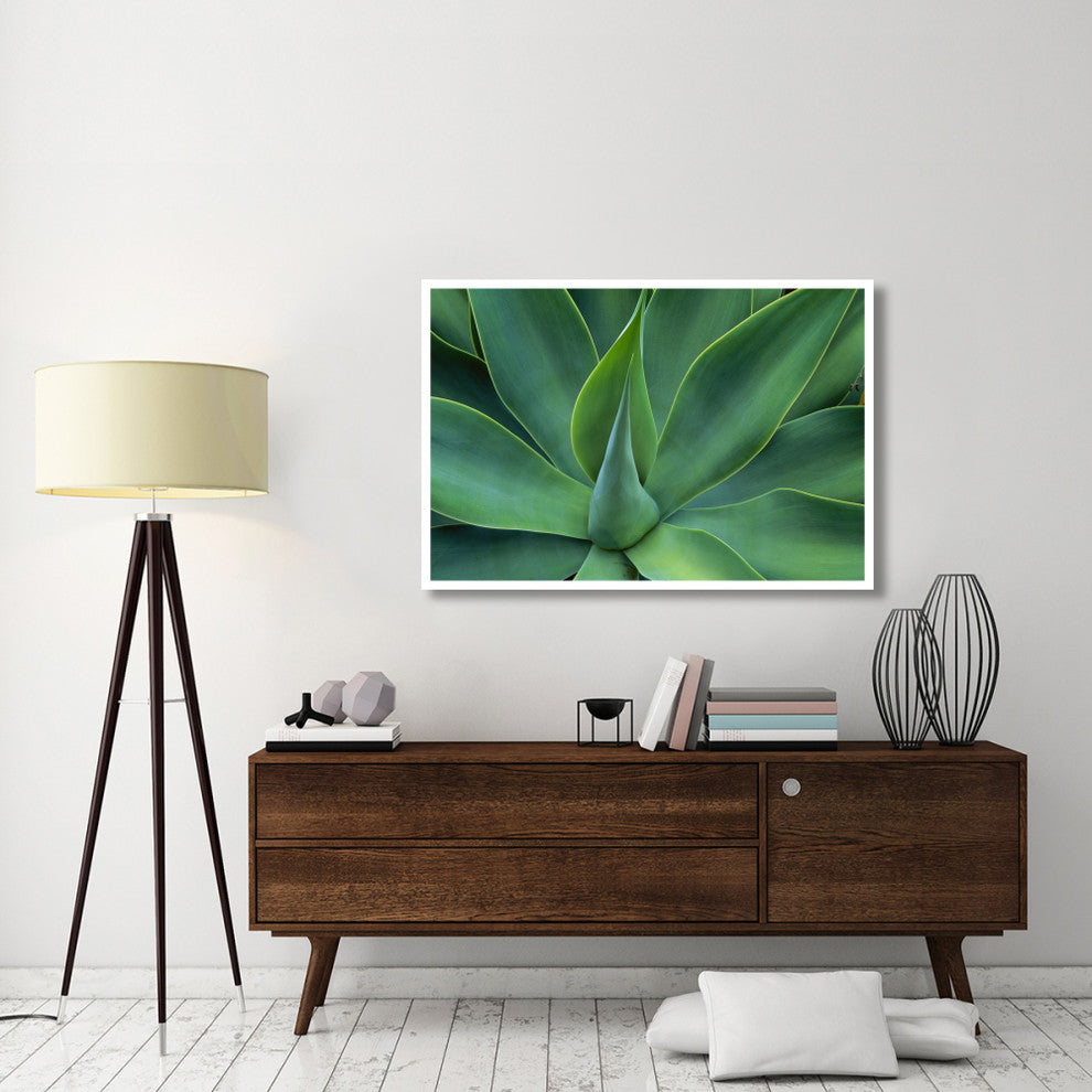 "Fox Tail Agave leaves, succulent, mountains of Mexico" Paper Art, 50"x34"