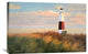 "Ray of Light" Stretched Canvas Giclee by Diane Romanello, 30"x20"