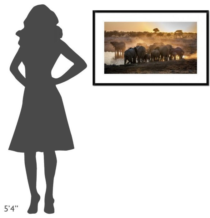 "Elephant Huddle" Framed Digital Print by Simon Van Ooijen, 38x25"