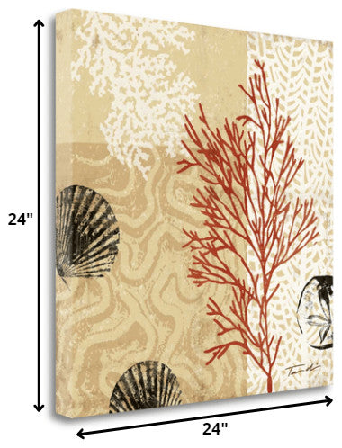 24" Underwater Coral With Seashells and Sandollar 2 Giclee Wrap Canvas Wall Art
