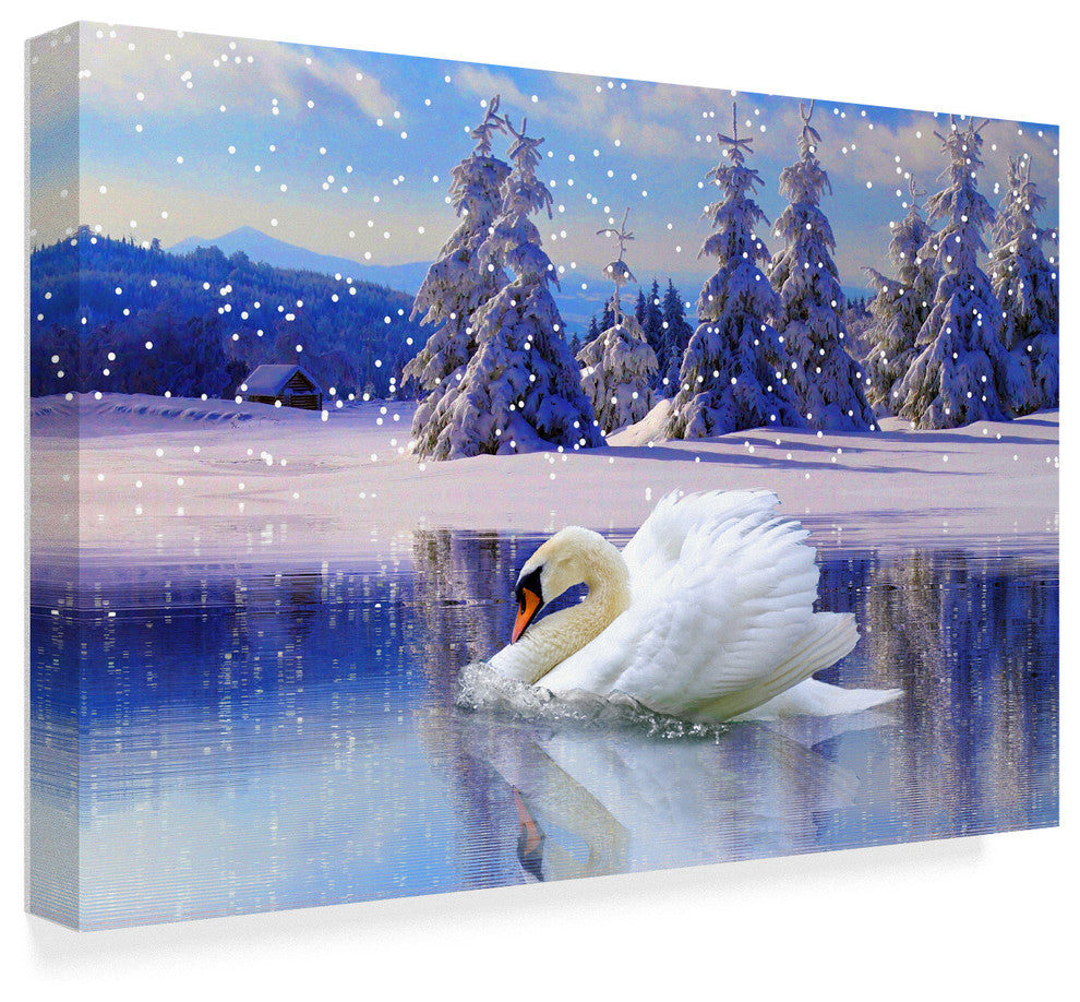 "Swan Winter" by Ata Alishahi, Canvas Art, 12"x19"