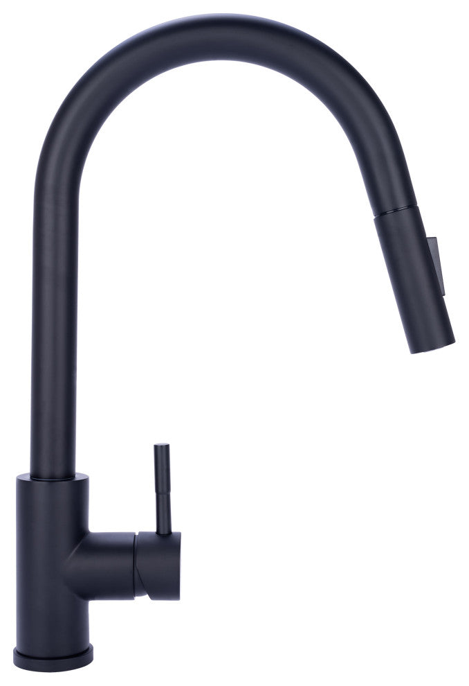 Single Handle Pull Down Sprayer Kitchen Faucet in Matte Black