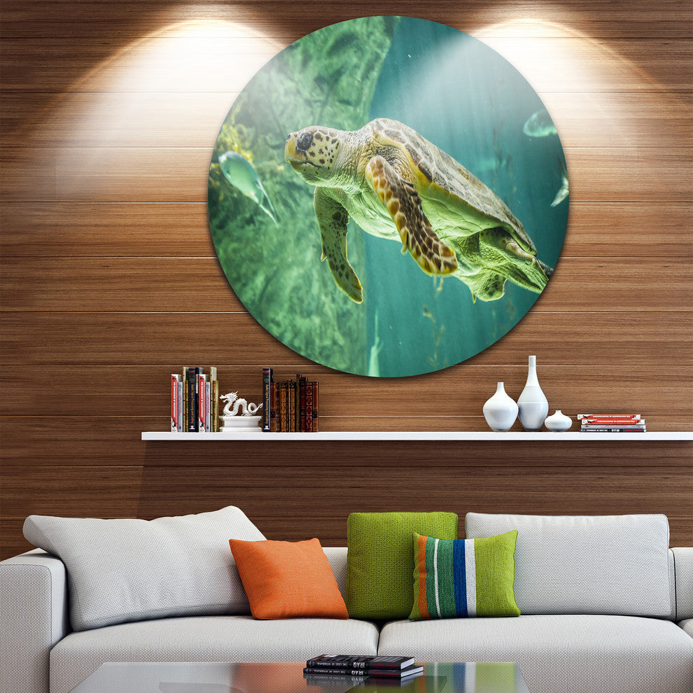 Huge Turtle Swimming, Animal Digital Art Large Disc Metal Wall Art, 23"