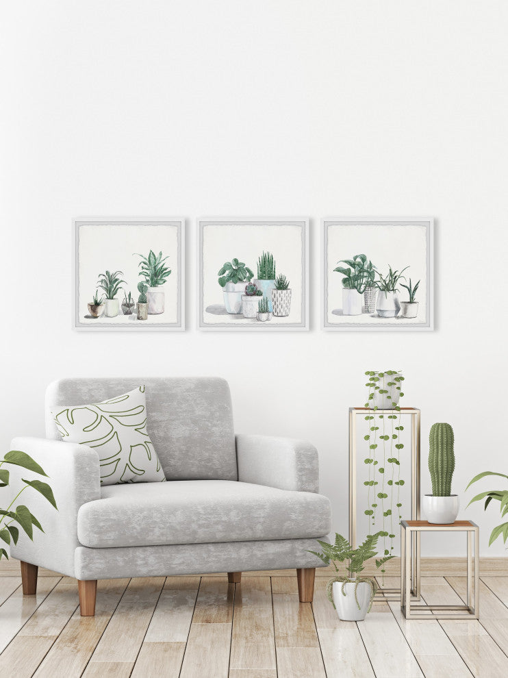 Urban Houseplants Triptych, Set of 3, 24x24 Panels