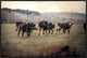 36x24 Greet II, Framed Artwork, Black