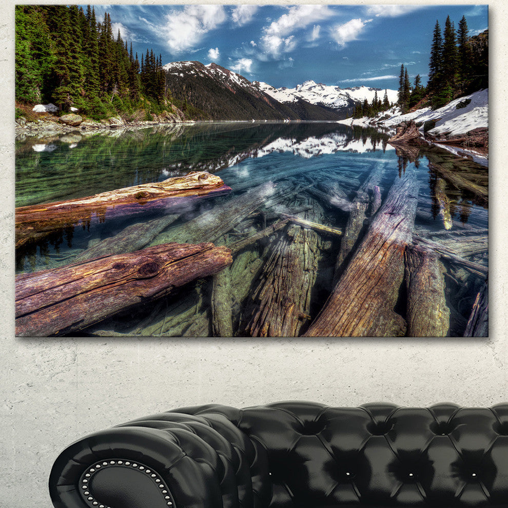 Sunken Logs n Mountain Lake, Extra Large Landscape Canvas Art Print, 40"x30"