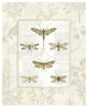 "Dragonfly Botanical" Digital Paper Print by Sue Schlabach, 22"x26"
