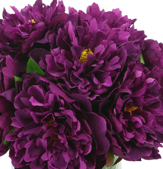 Purple Peonies  with Grass