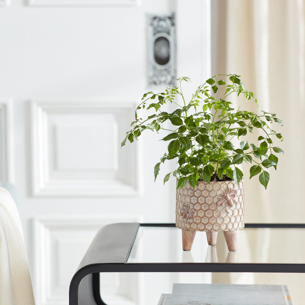 Decorative Pot With Legs, 2-Piece Set