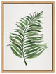 Sylvie Green Fern Framed Canvas by Patricia Shaw, Natural 18x24
