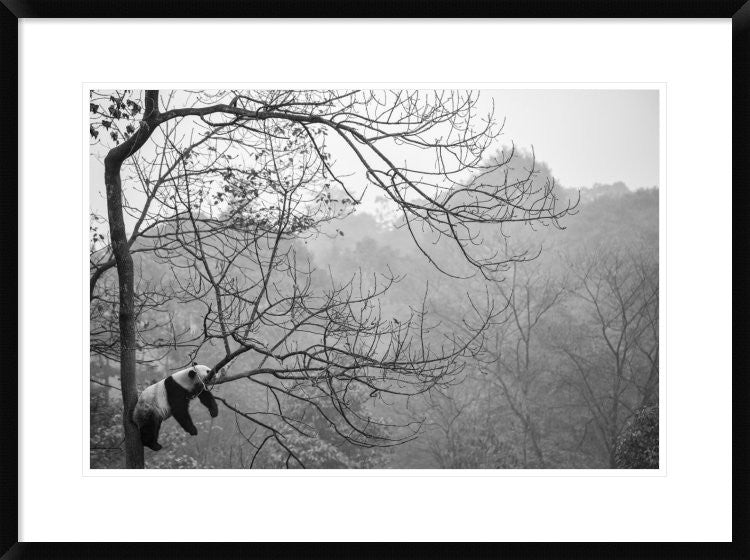 "Relax" Framed Digital Print by Alessandro Catta, 32x24"