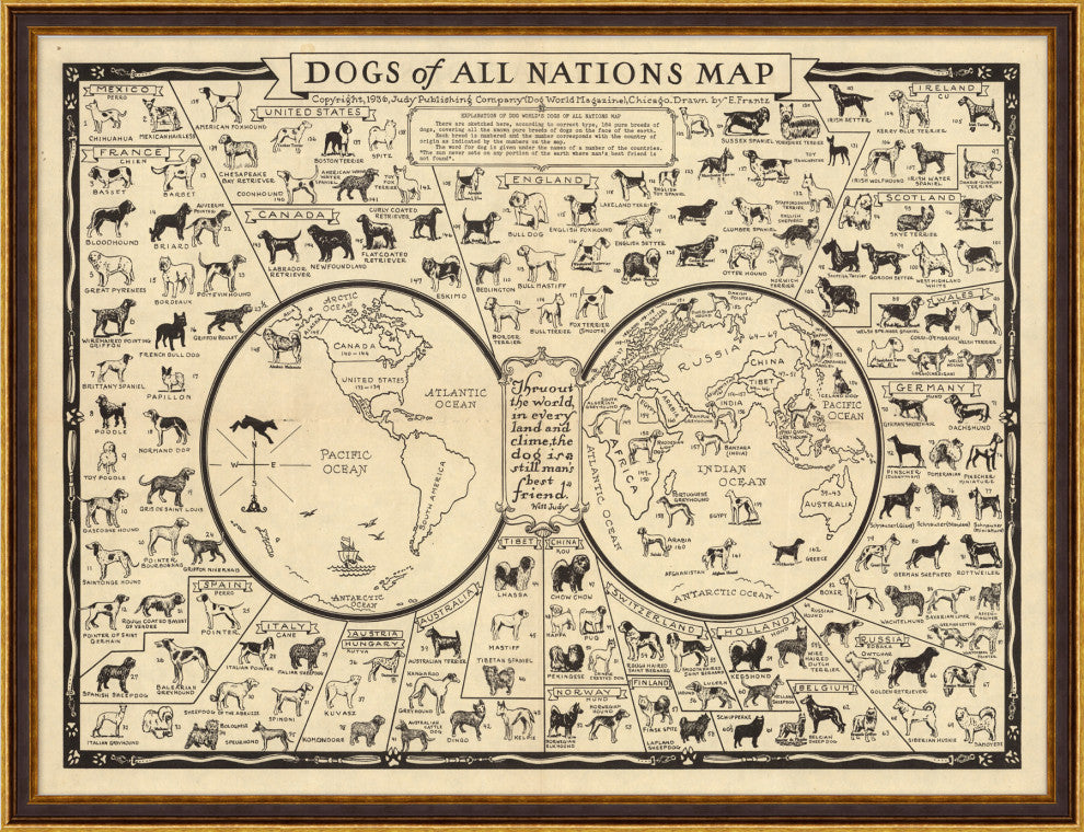 Dogs Of All Nations Map, Giclee Reproduction Artwork