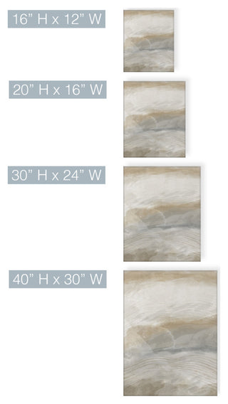 Abstract Neutral CXLV' Canvas Wall Art by ChiChi Decor, 16"x12"