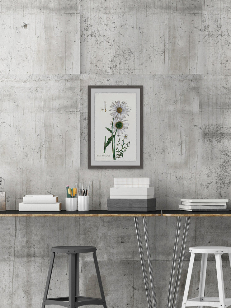 "White Daisy III" Framed Painting Print, 12"x18"