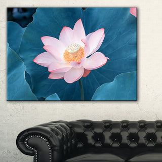 "Blooming Pink Lotus Flower" Oversized Beach Canvas Artwork, 32"x16"
