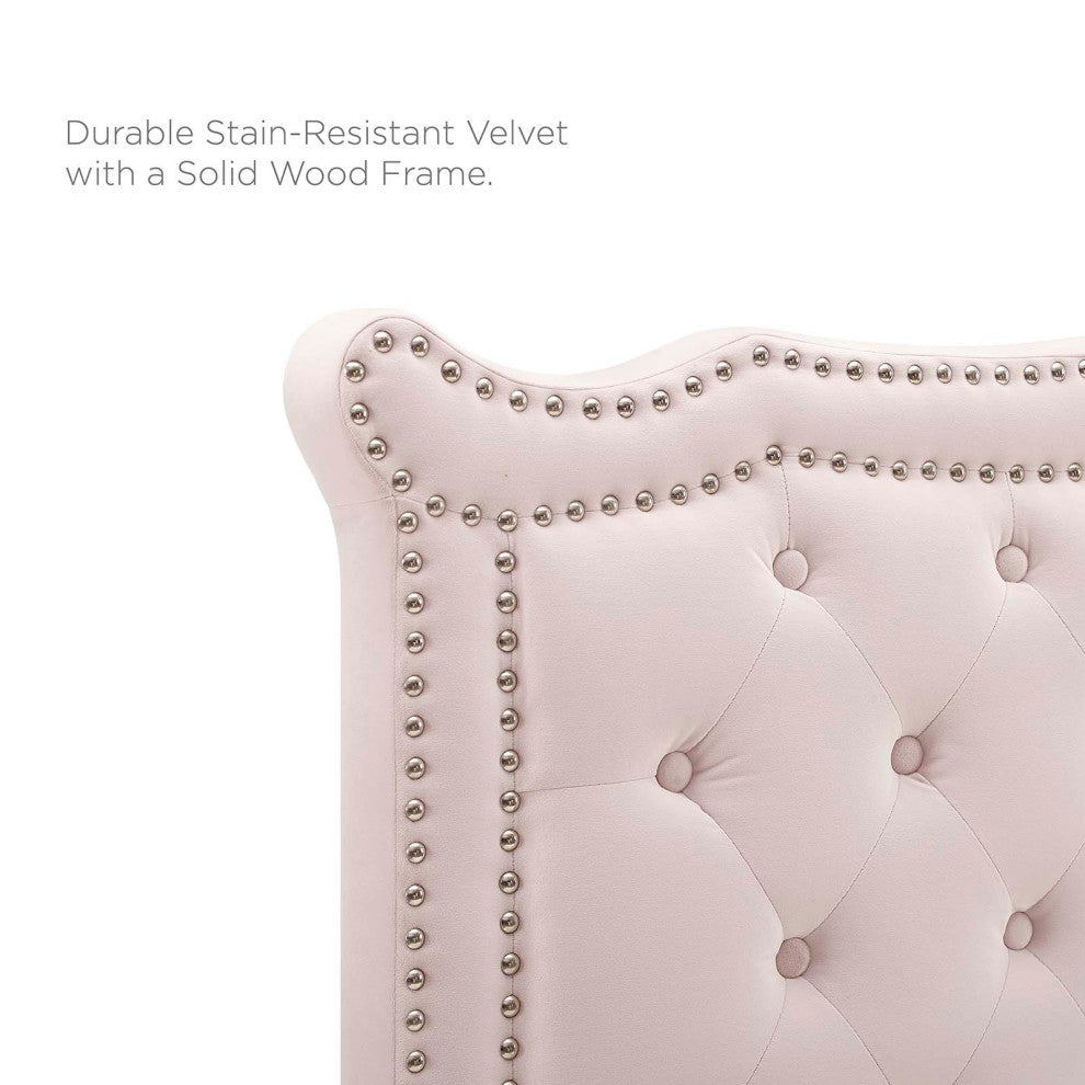 Platform Bed Frame, Nailhead, Queen Size, Pink, Velvet, Modern, Guest Suite
