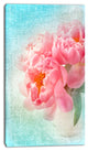 Peony Flowers Merged to Blue, Floral Canvas Art Print, 16"x32"