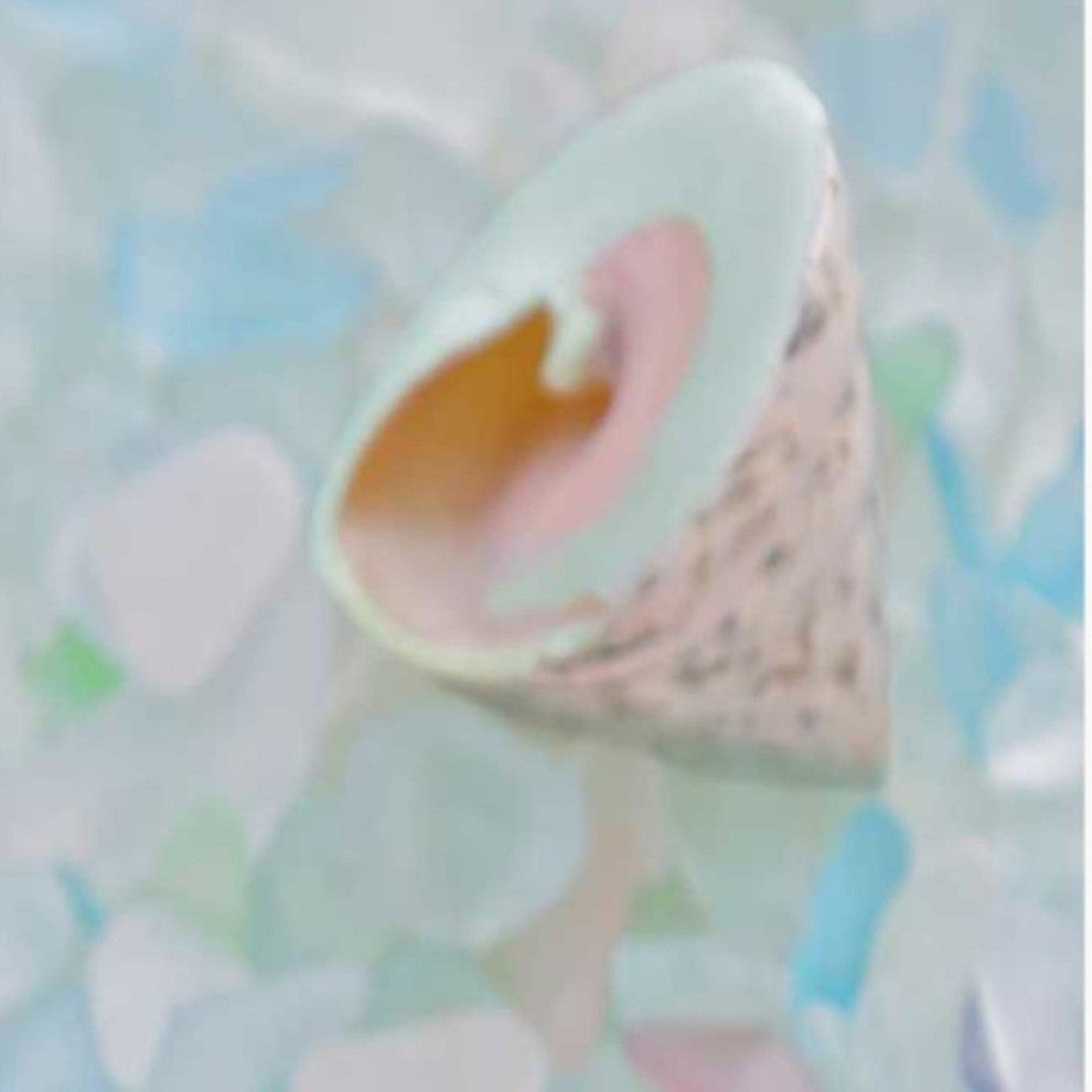 5" Speckled Snail Shell and Colorful Seaglass Giclee Wrap Canvas Wall Art