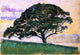 Paul Signac Pine St. Tropez Wall Decal