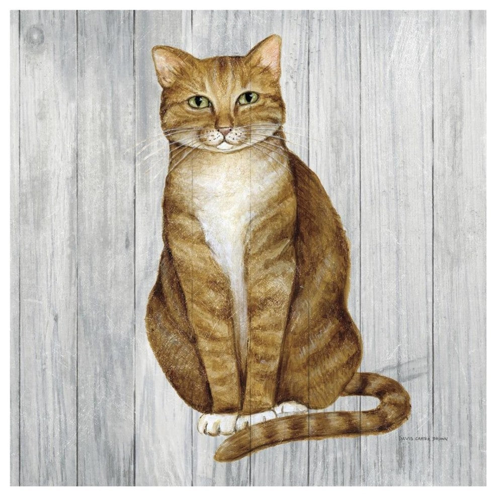 "Country Kitty II on Wood" Digital Paper Print by David Carter Brown, 32"x32"
